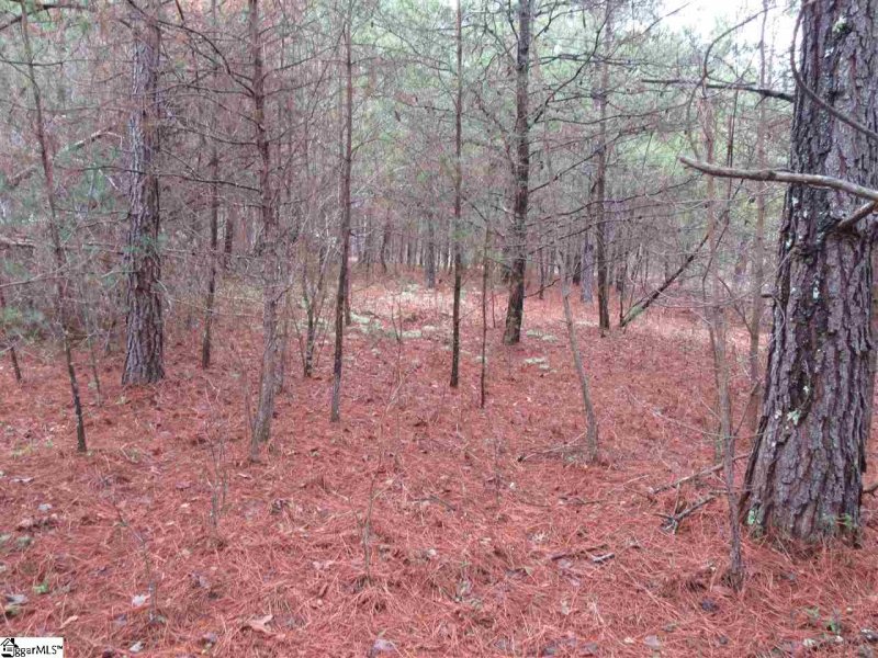 Property image 3 at 12 River Rock Court, Cleveland, SC 29635