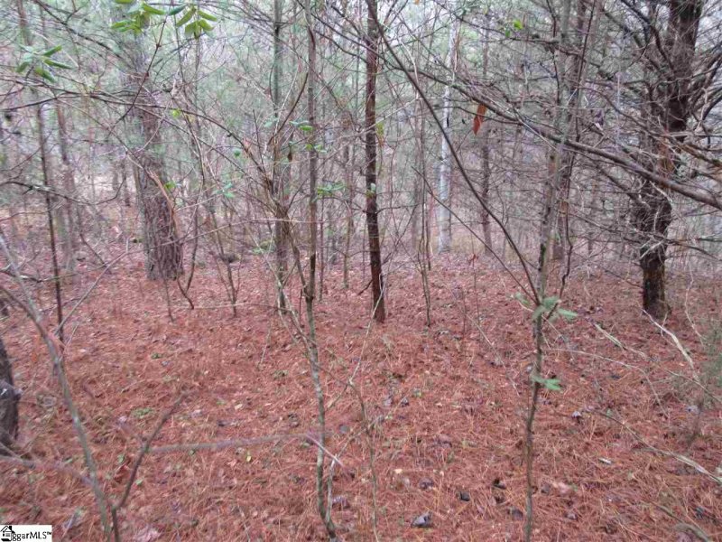 Property image 4 at 12 River Rock Court, Cleveland, SC 29635