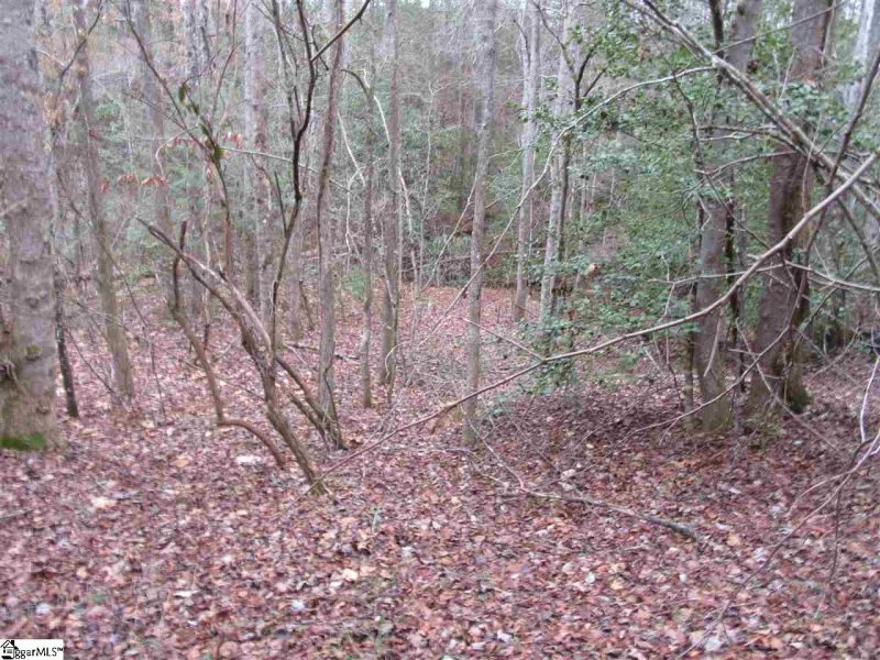 Property image 5 at 12 River Rock Court, Cleveland, SC 29635