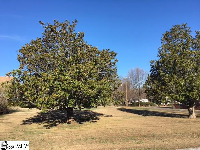 Property image 2 at 0 Bessie Avenue, Greer, SC 29651