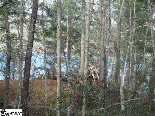 Property image 3 at 323 Evergreen Ridge, Tamassee, SC 29686