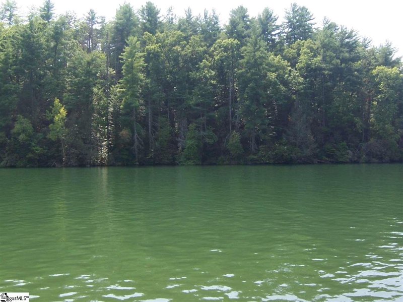 Property image 5 at 323 Evergreen Ridge, Tamassee, SC 29686