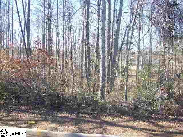 Property image 5 at 0 Nolan Drive, Travelers Rest, SC 29690