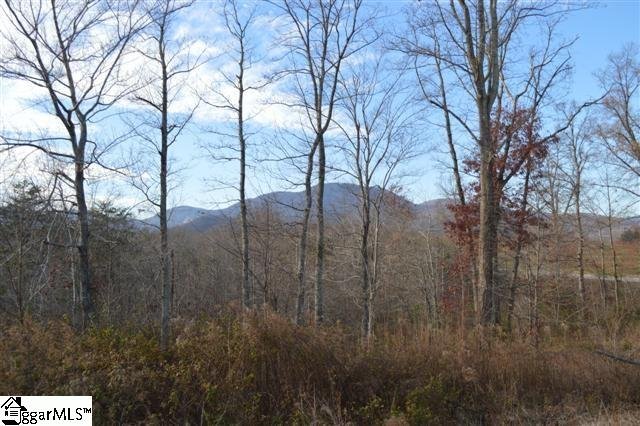 Property image 2 at 2 James Walker Lane, Landrum, SC 29356