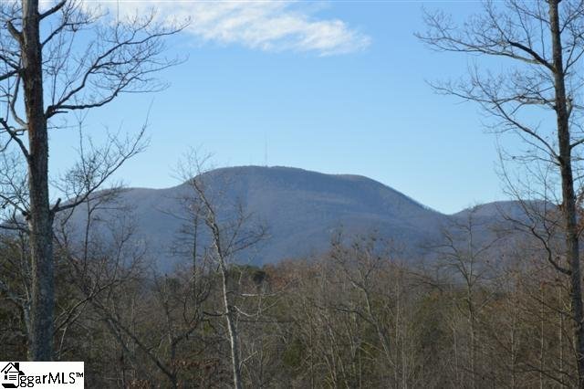 Property image 3 at 2 James Walker Lane, Landrum, SC 29356