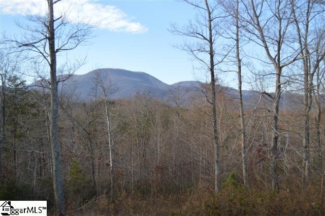 Property image 4 at 2 James Walker Lane, Landrum, SC 29356