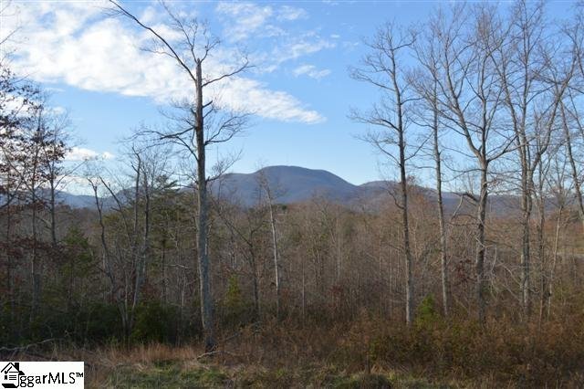 Property image 5 at 2 James Walker Lane, Landrum, SC 29356