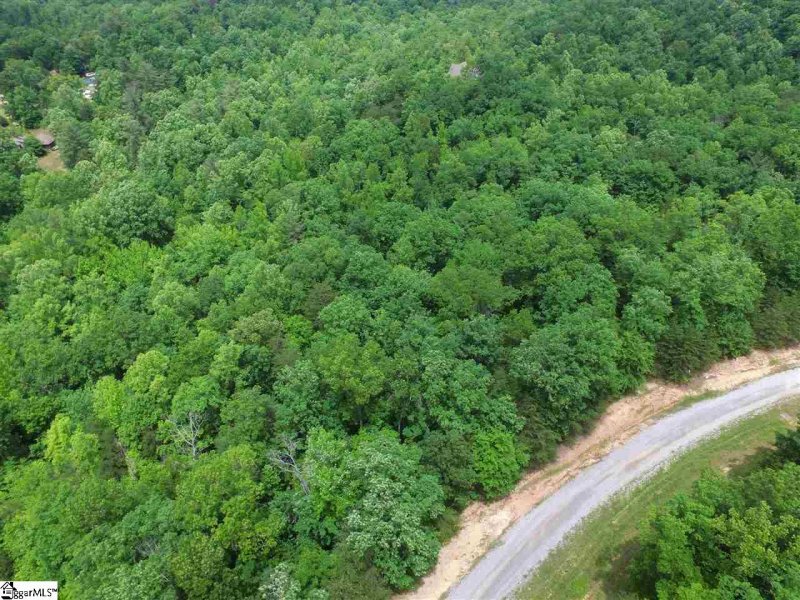 Property image 2 at 00 Pardo Road, Landrum, SC 29356