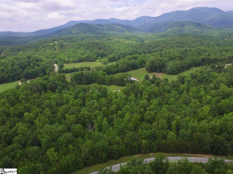 Property image 3 at 00 Pardo Road, Landrum, SC 29356