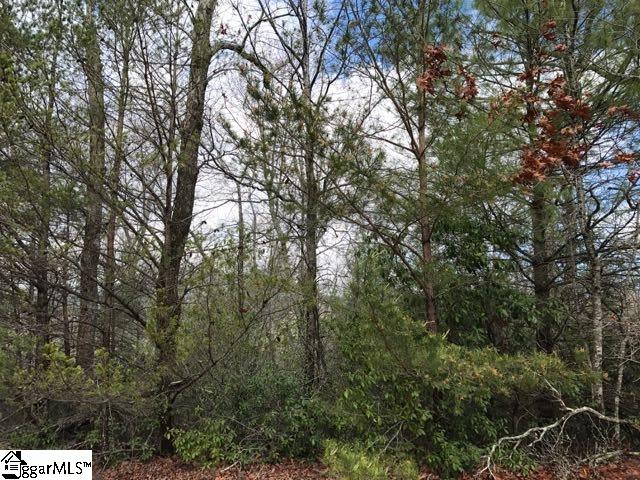 Property image 4 at 00 Pardo Road, Landrum, SC 29356