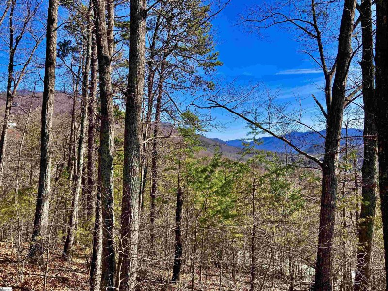 345 Mountain Summit Road