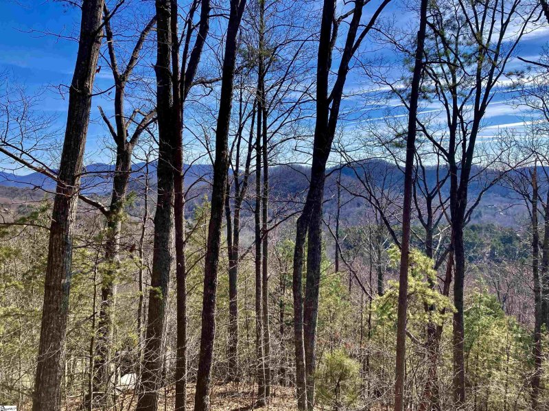 Property image 5 at 345 Mountain Summit Road, Travelers Rest, SC 29690