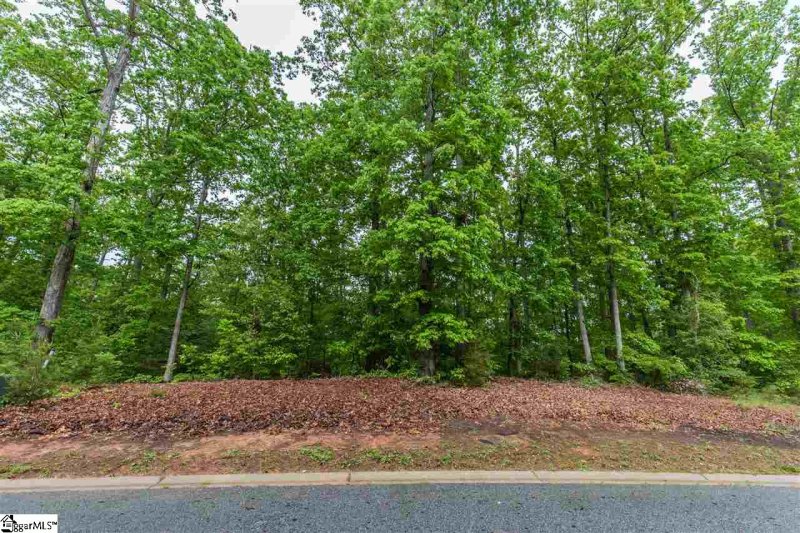 Property image 2 at 217 Yorkswell Lane, Greenville, SC 29607