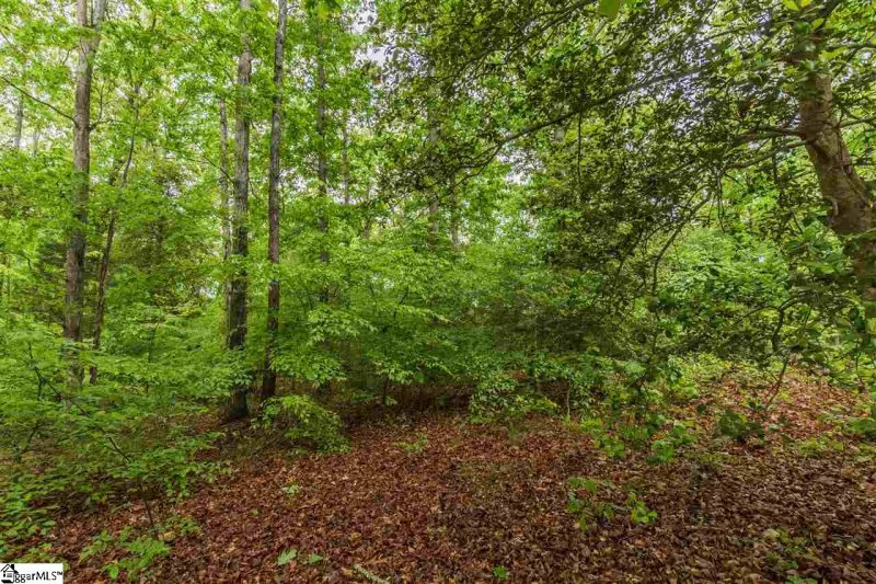 Property image 4 at 217 Yorkswell Lane, Greenville, SC 29607