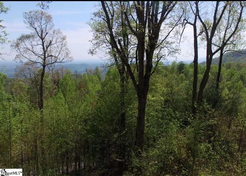 Property image 2 at Hidden Rock Way, Zirconia, NC 28790