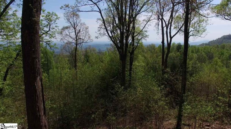 Property image 3 at Hidden Rock Way, Zirconia, NC 28790