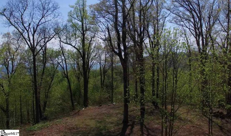 Property image 4 at Hidden Rock Way, Zirconia, NC 28790