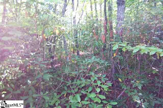 Property image 3 at 585 Lisa Lane, Mountain Rest, SC 29664