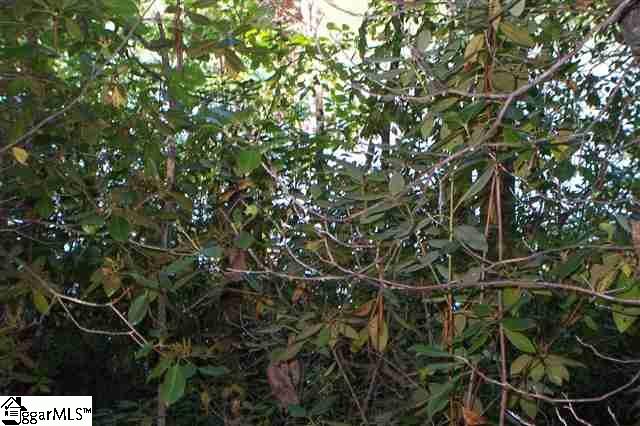 Property image 4 at 585 Lisa Lane, Mountain Rest, SC 29664