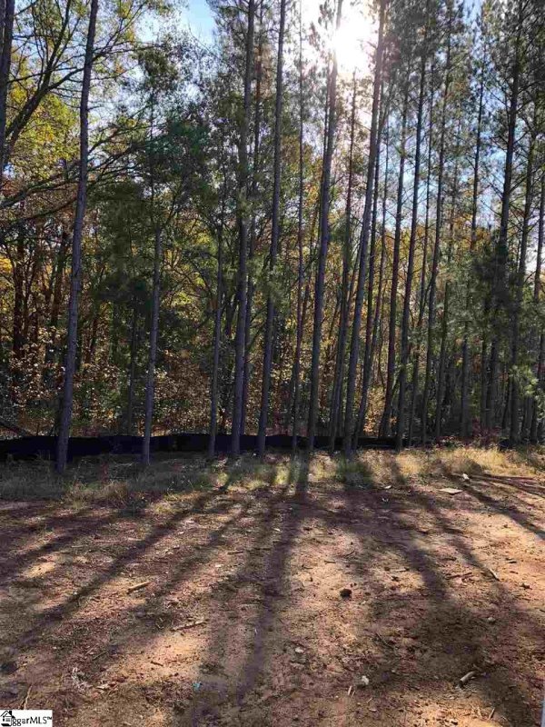 Property image 4 at 324 Scenic Lake Court, Piedmont, SC 29673