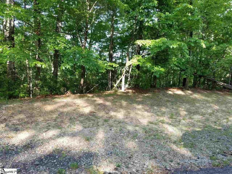 Property image 3 at 602 Whispering Falls Drive, Pickens, SC 29671