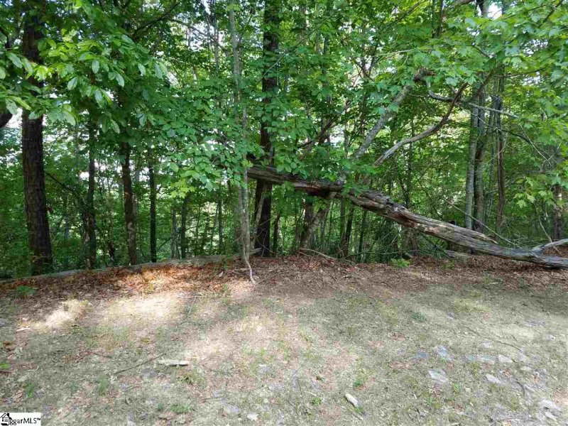 Property image 4 at 602 Whispering Falls Drive, Pickens, SC 29671