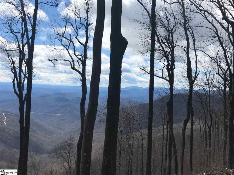 Property image 3 at Cliffsview Court, Zirconia, NC 28790