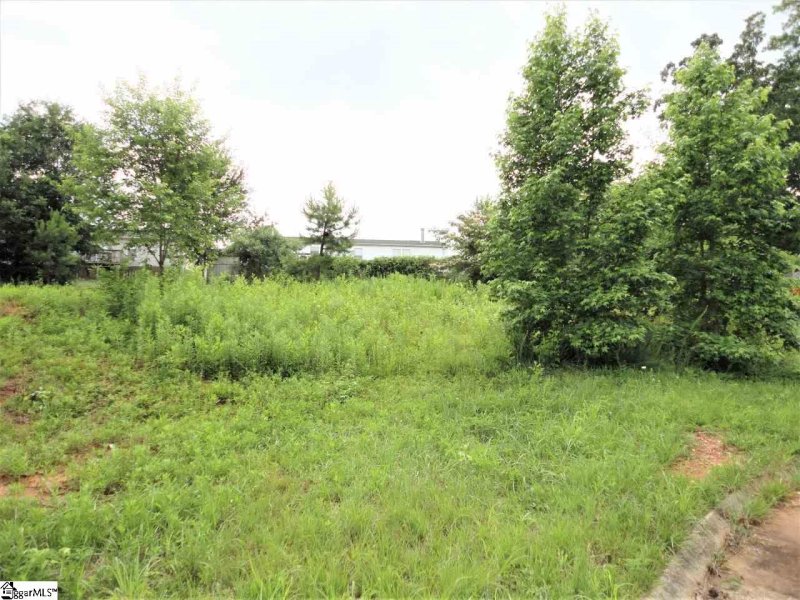 Property image 2 at 105 Baymont Court, Fountain Inn, SC 29644