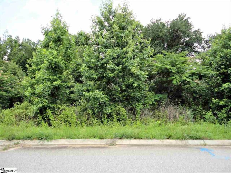 Property image 2 at 102 Baymont Court, Fountain Inn, SC 29644