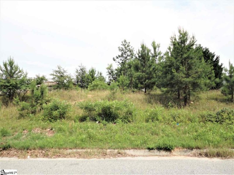 Property image 2 at 308 Walnut Crest Court, Fountain Inn, SC 29644