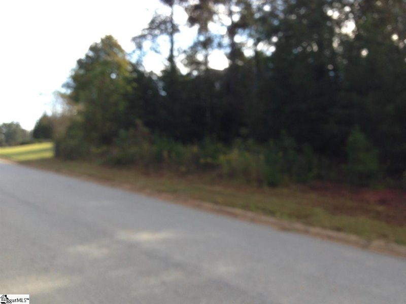 Property image 3 at 113 Barfield Drive, Easley, SC 29642