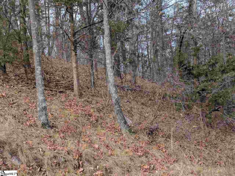 Property image 3 at 618 Upper Springs Road, Pickens, SC 29671