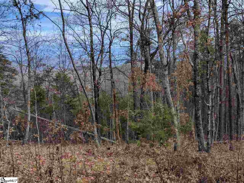Property image 4 at 618 Upper Springs Road, Pickens, SC 29671