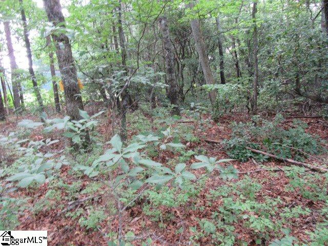 Property image 5 at 209 Club Terrace Drive, Cleveland, SC 29635