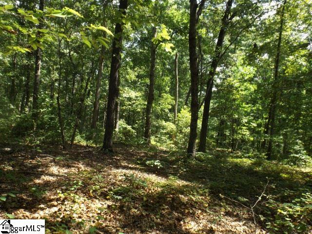 Property image 5 at 200 Serenity Drive, Pickens, SC 29671