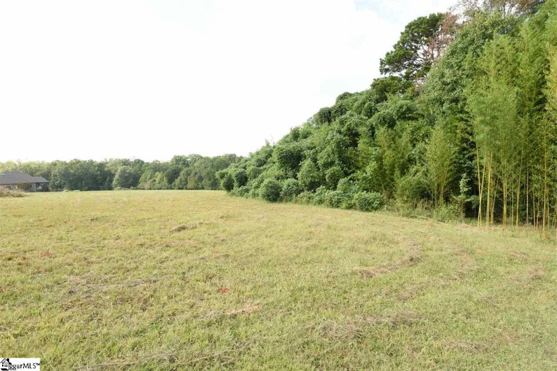 Property image 5 at 00 Dolphin Pond Lane, Fountain Inn, SC 29644