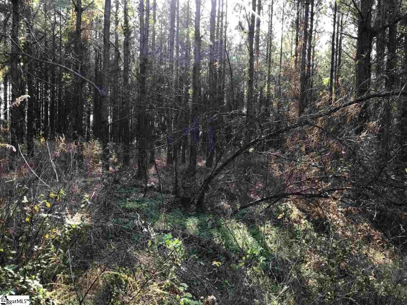 Property image 2 at 862 Dunklin Bridge Road, Fountain Inn, SC 29644