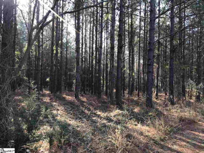 Property image 3 at 862 Dunklin Bridge Road, Fountain Inn, SC 29644