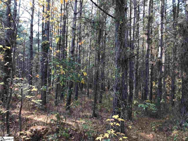 Property image 2 at 872 Dunklin Bridge Road, Fountain Inn, SC 29644