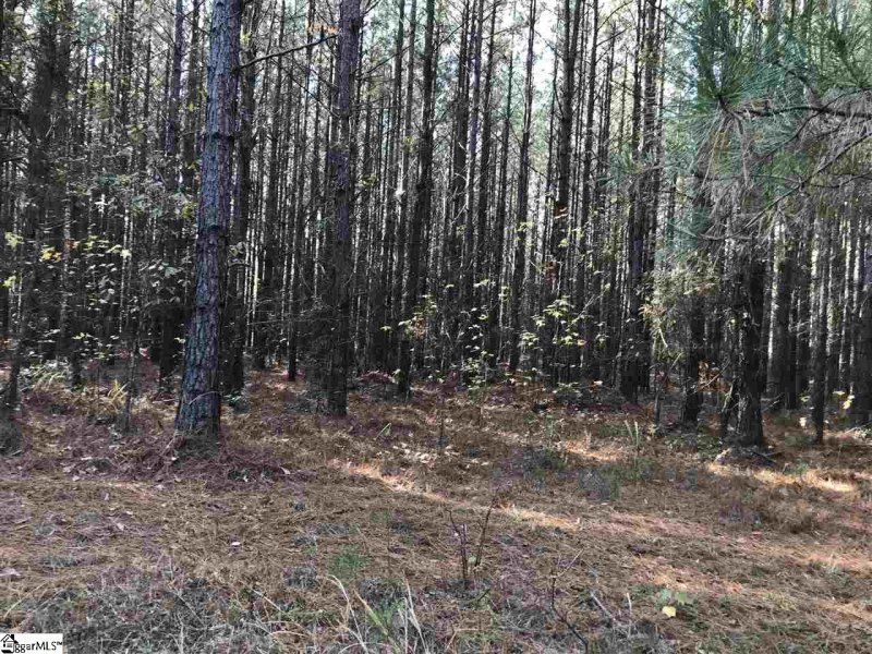 Property image 4 at 872 Dunklin Bridge Road, Fountain Inn, SC 29644