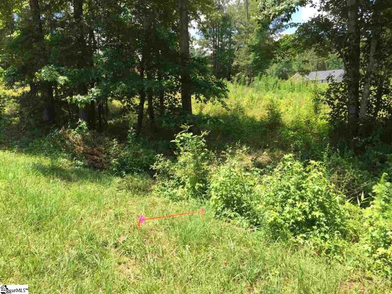 Property image 2 at 228 Lions Park Road, Marietta, SC 29661