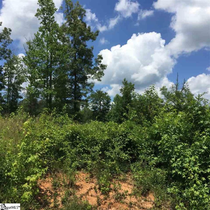 Property image 2 at 230 Lions Park Road, Marietta, SC 29661