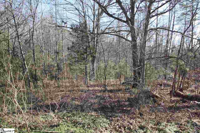 Property image 3 at 0 Lyle Drive, Taylors, SC 29687