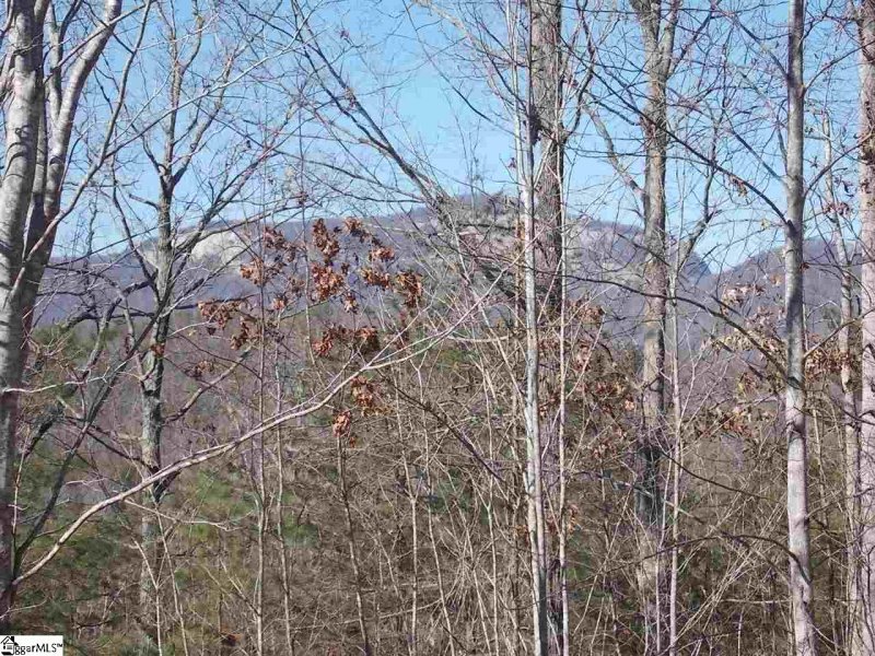 Property image 3 at 300 Wandring Way, Pickens, SC 29671