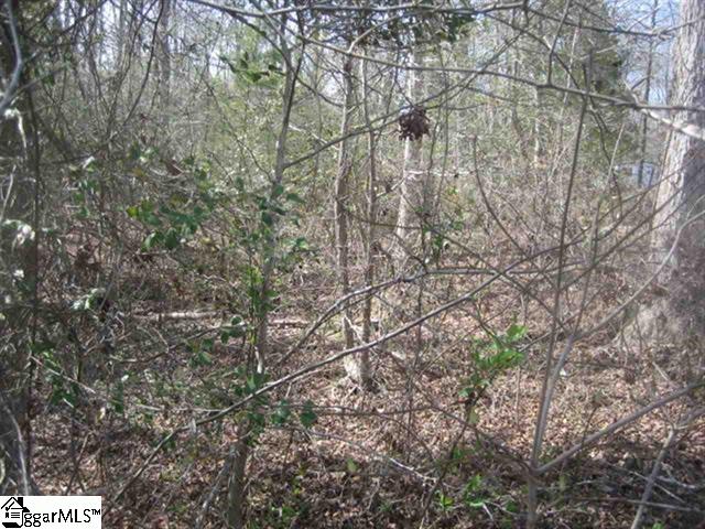 Property image 3 at 110 Bernhardt Way, Pickens, SC 29671