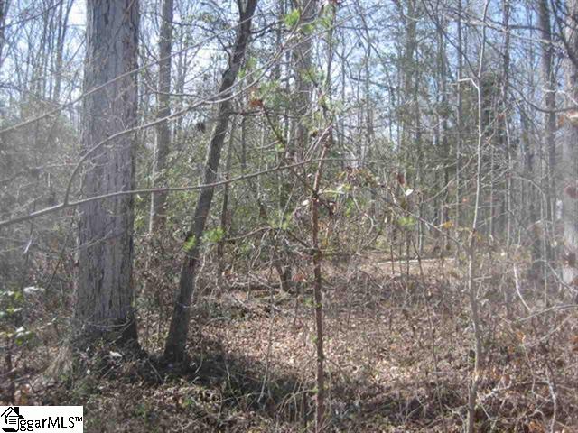 Property image 4 at 110 Bernhardt Way, Pickens, SC 29671