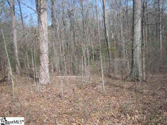 Property image 5 at 110 Bernhardt Way, Pickens, SC 29671