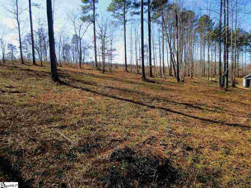 Property image 5 at 5 Tee Box Lane, Travelers Rest, SC 29690