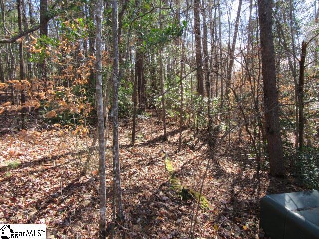 Property image 2 at 111 Broken Bow Run, Pickens, SC 29671