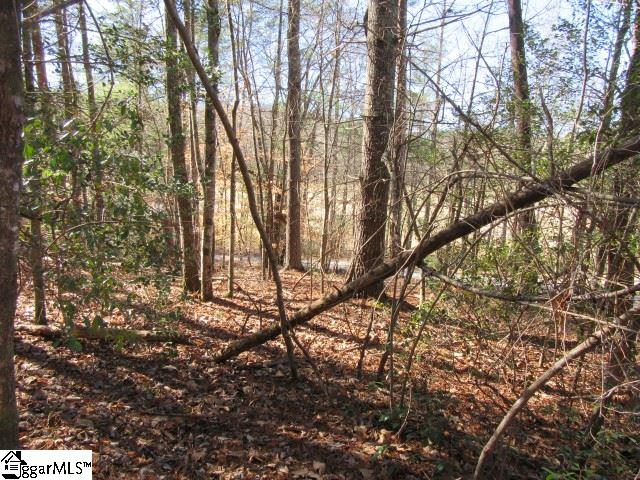 Property image 4 at 111 Broken Bow Run, Pickens, SC 29671